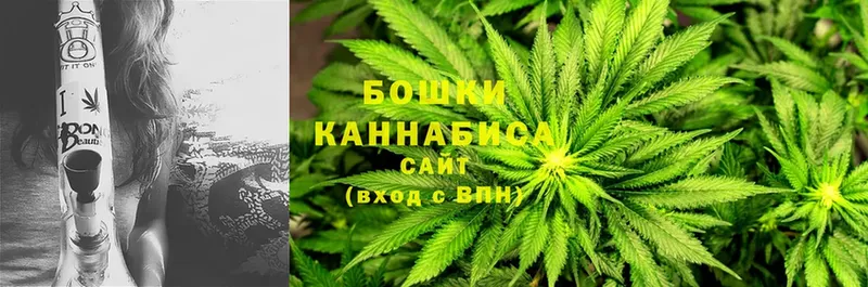 OMG   Кингисепп  Конопля Bruce Banner 